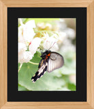New Product Image