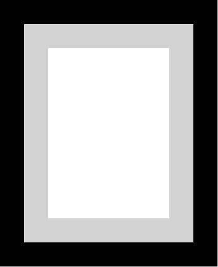 New Product Image