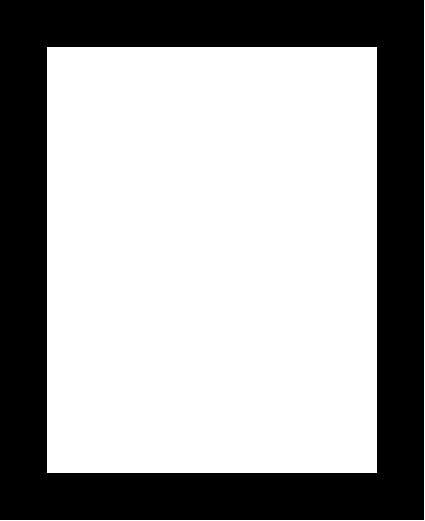 New Product Image