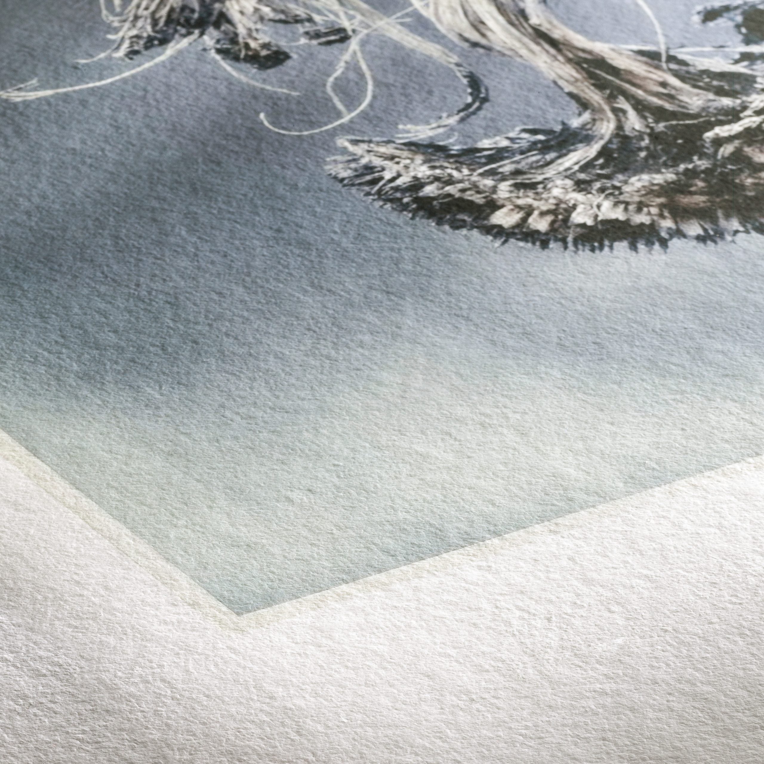 Museum Etching - Matte